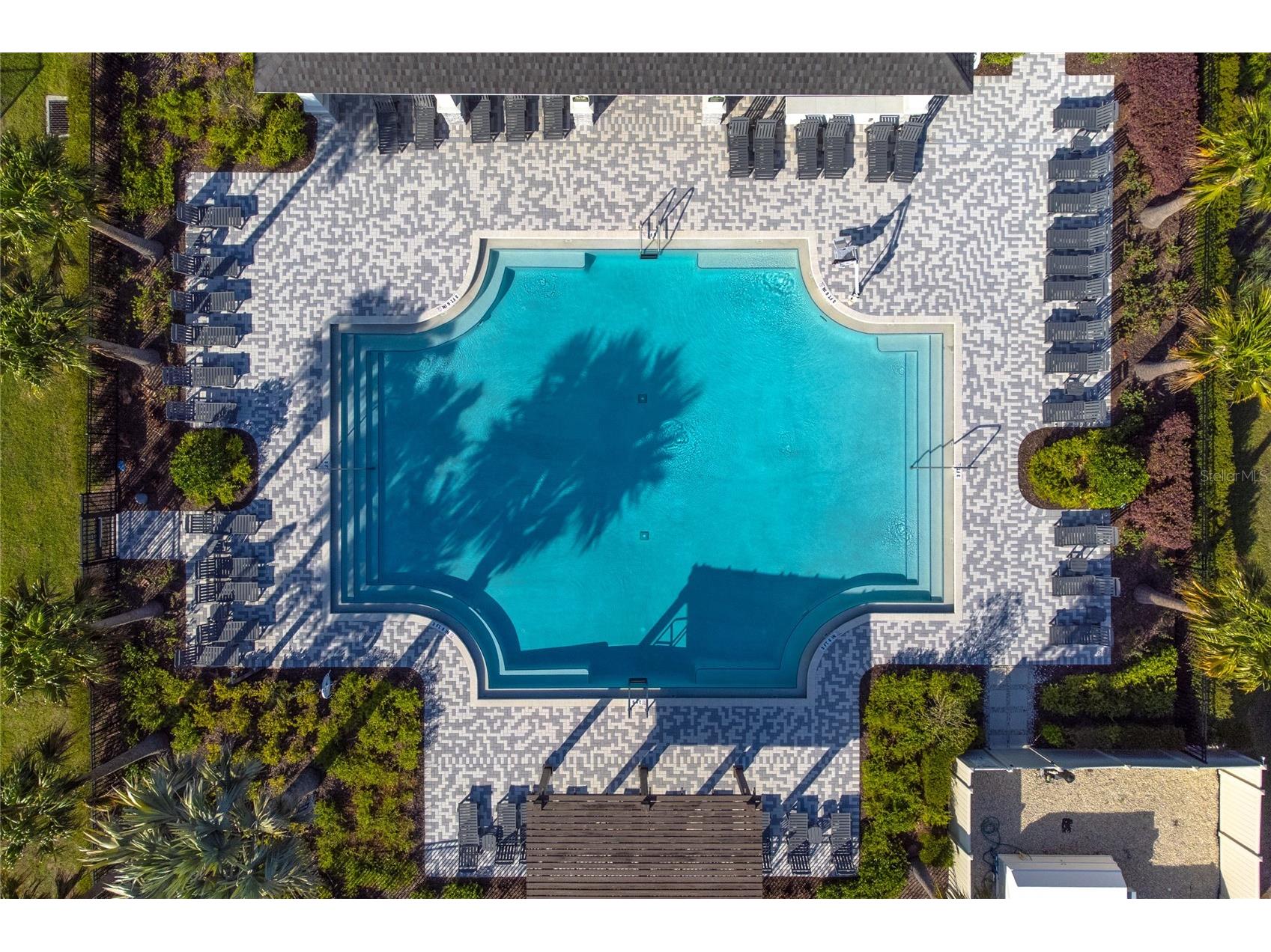 17208 English Chestnut Way Land O Lakes FL 34638 TB8492286 image41