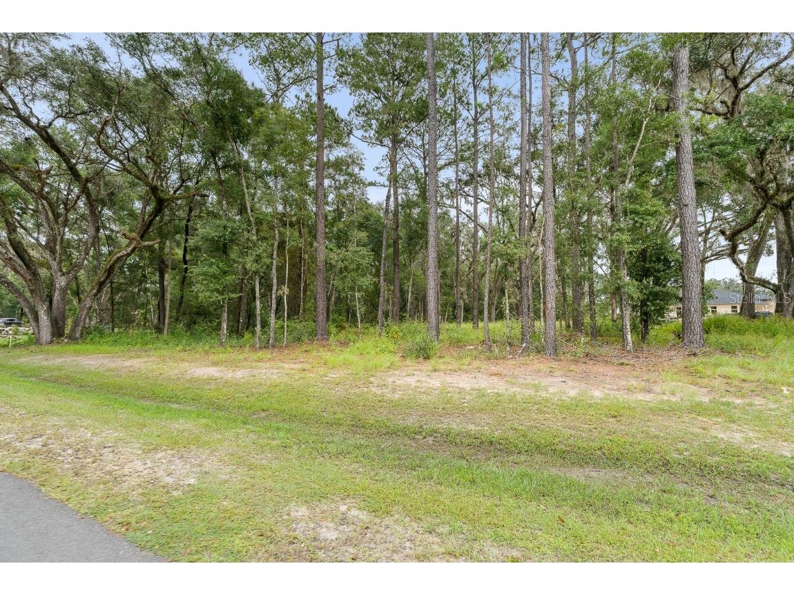 17208 SW 11 Court Newberry FL 32669 GC526175 image6