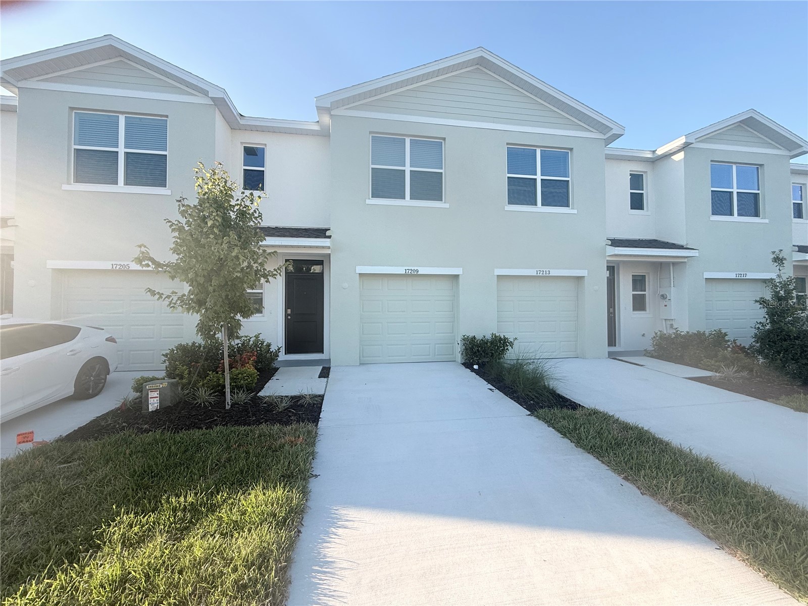 17209 English Chestnut Way Land O Lakes FL 34638 TB8523065 image1