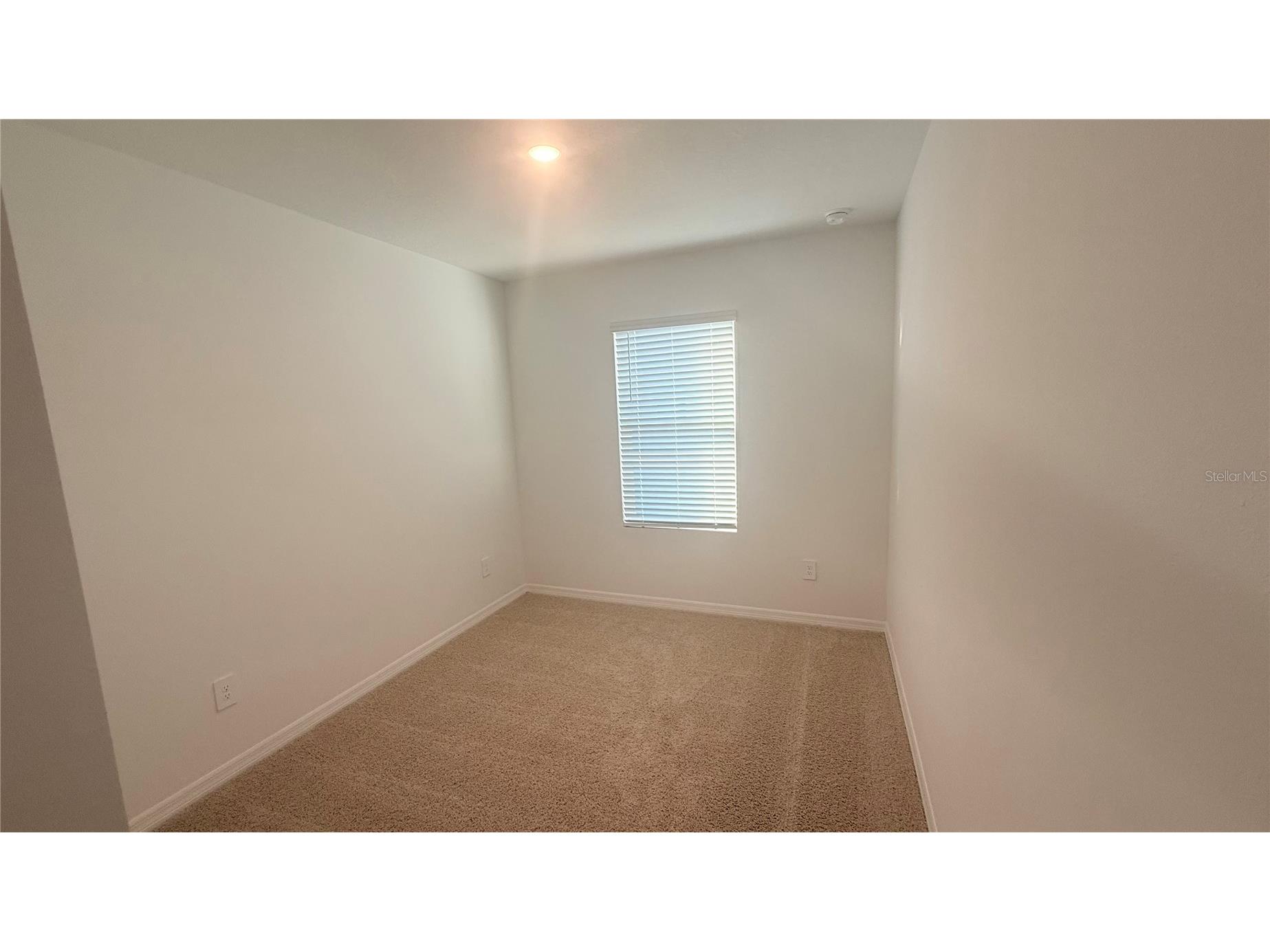 17209 English Chestnut Way Land O Lakes FL 34638 TB8523065 image16