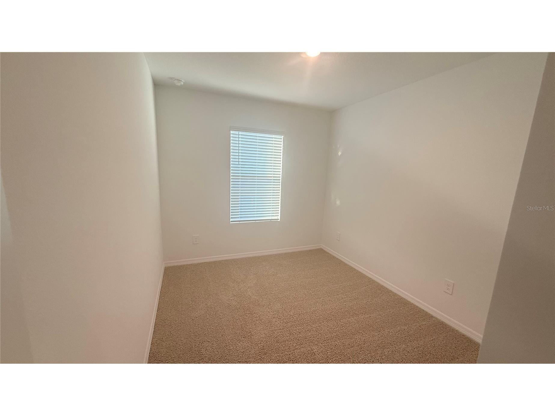 17209 English Chestnut Way Land O Lakes FL 34638 TB8523065 image17