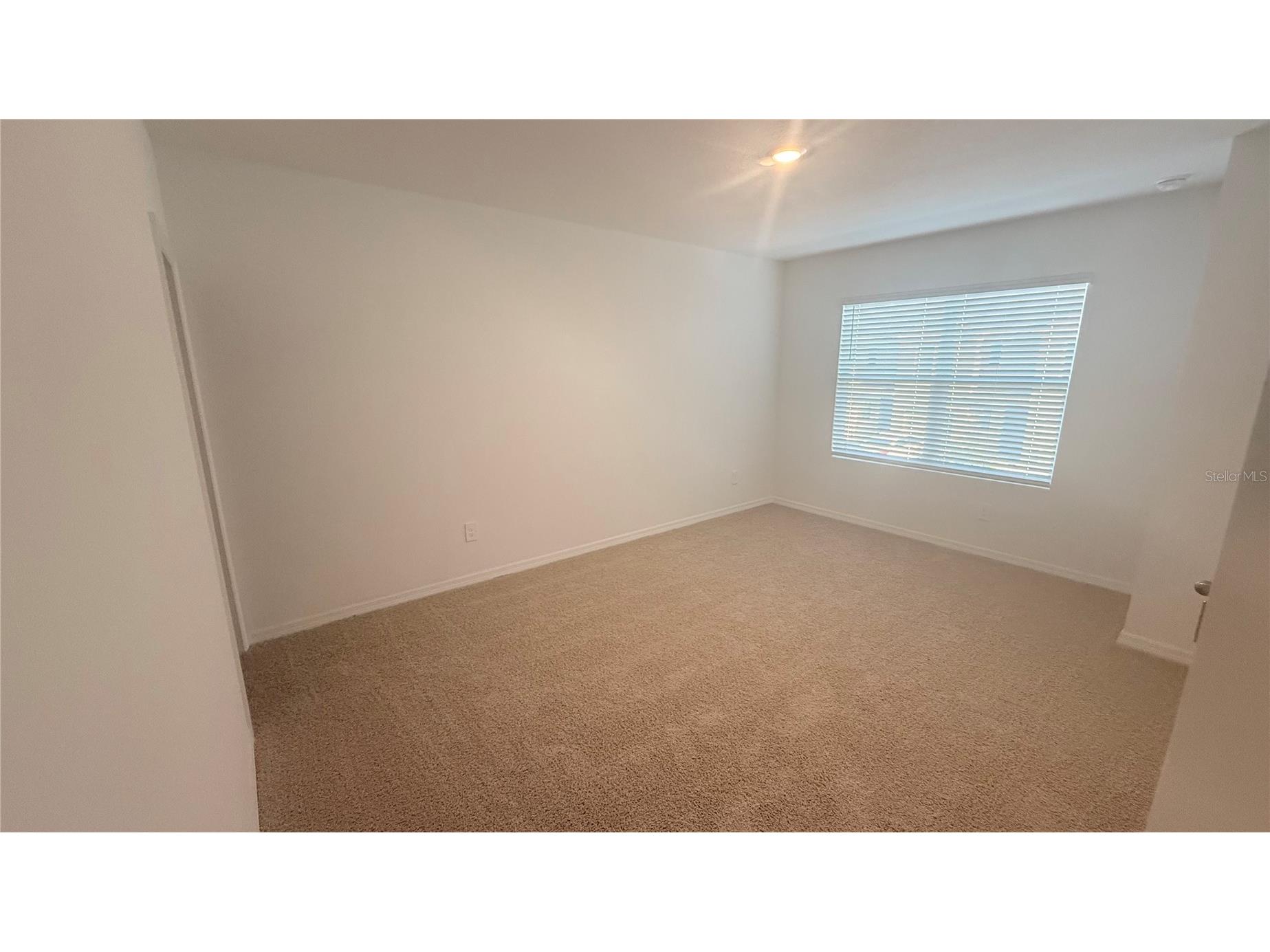 17209 English Chestnut Way Land O Lakes FL 34638 TB8523065 image21