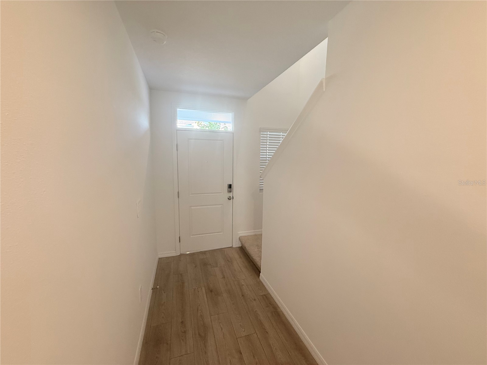 17209 English Chestnut Way Land O Lakes FL 34638 TB8523065 image3