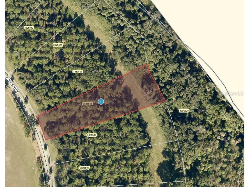 17209 Etruscan Lane Montverde FL 34756 - LAKE SIENA G5074078 image1