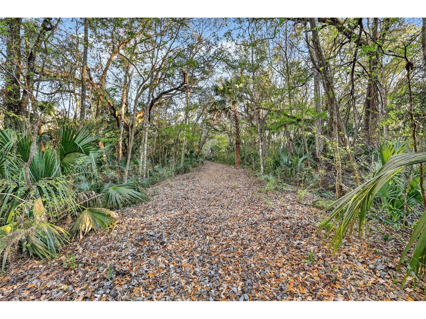 1721 County Road 25a Leesburg FL 34748 G5108955 image6