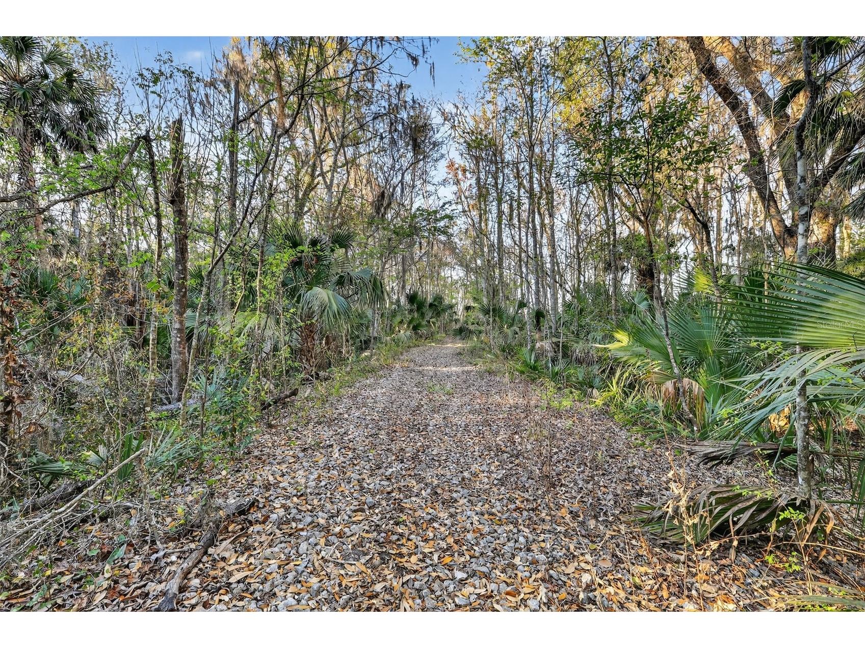 1721 County Road 25a Leesburg FL 34748 G5108955 image7