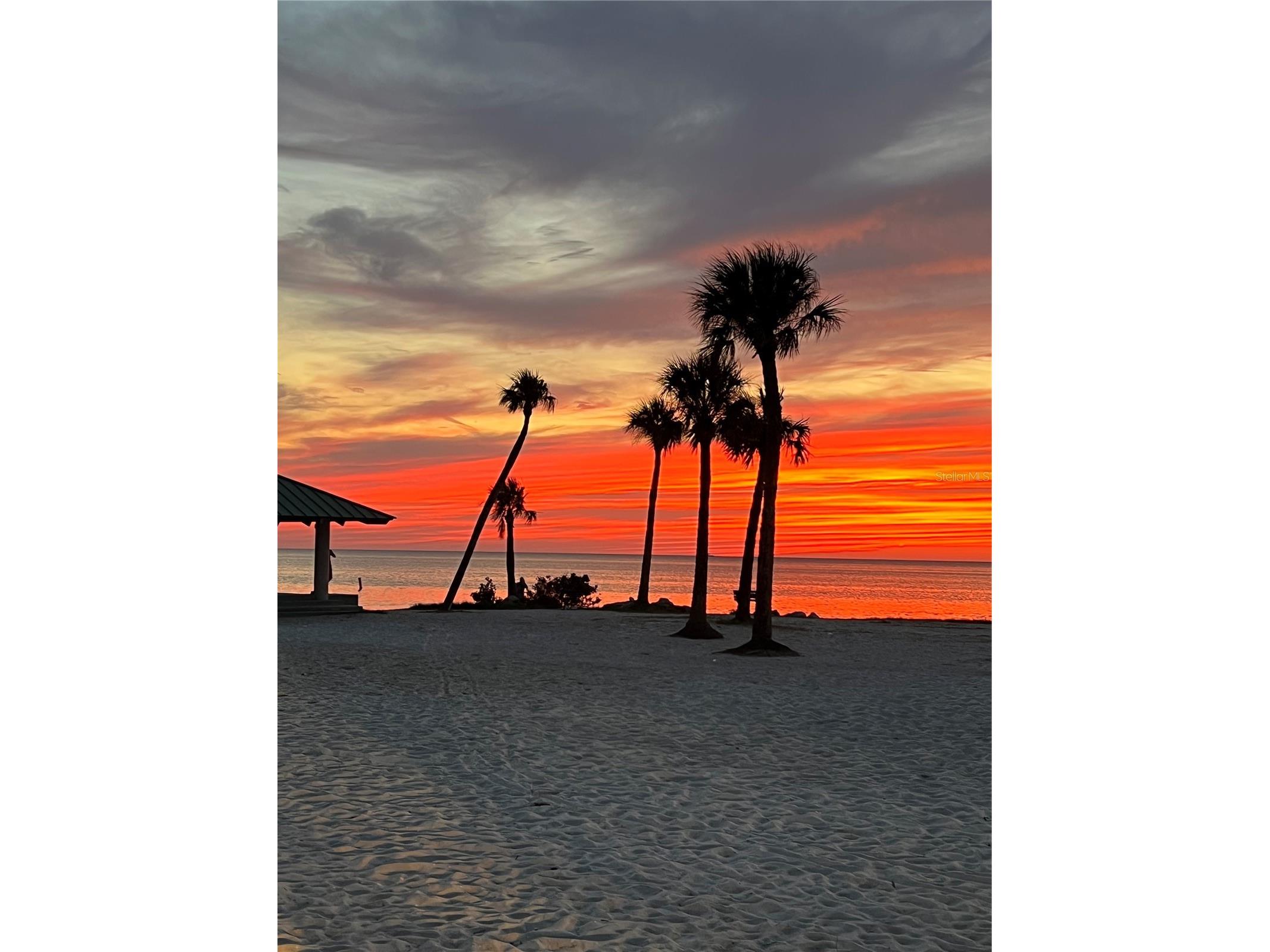 1721 Gulf Road Tarpon Springs FL 34689 TB8501527 image91