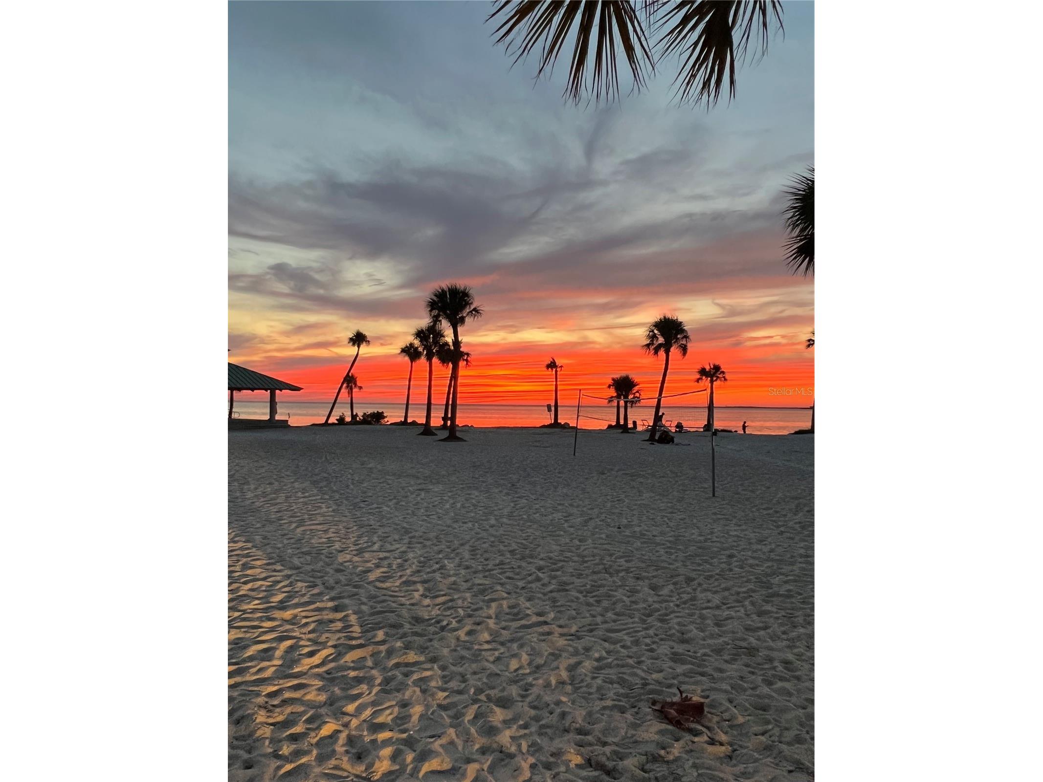 1721 Gulf Road Tarpon Springs FL 34689 TB8501527 image92