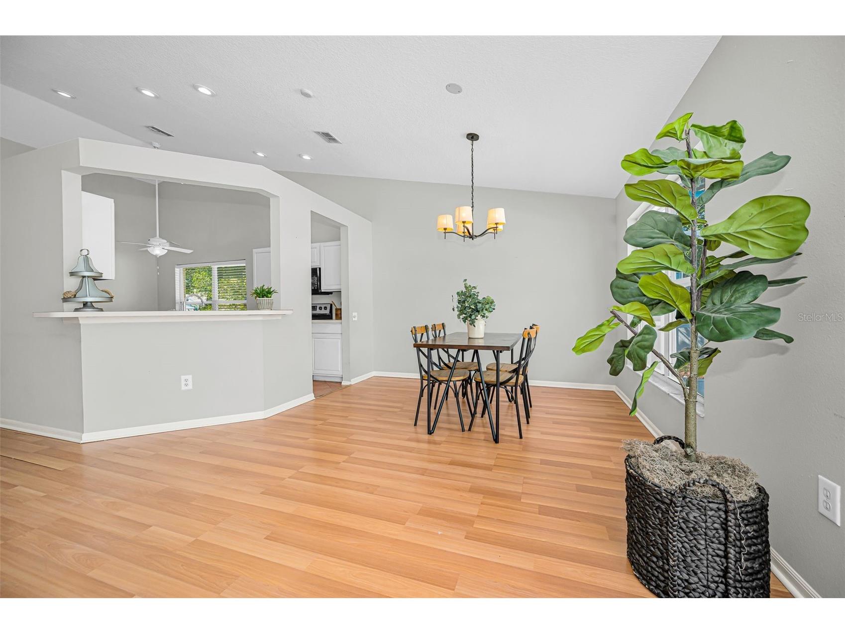 1721 Hunter Lane Tarpon Springs FL 34689 TB8512615 image17