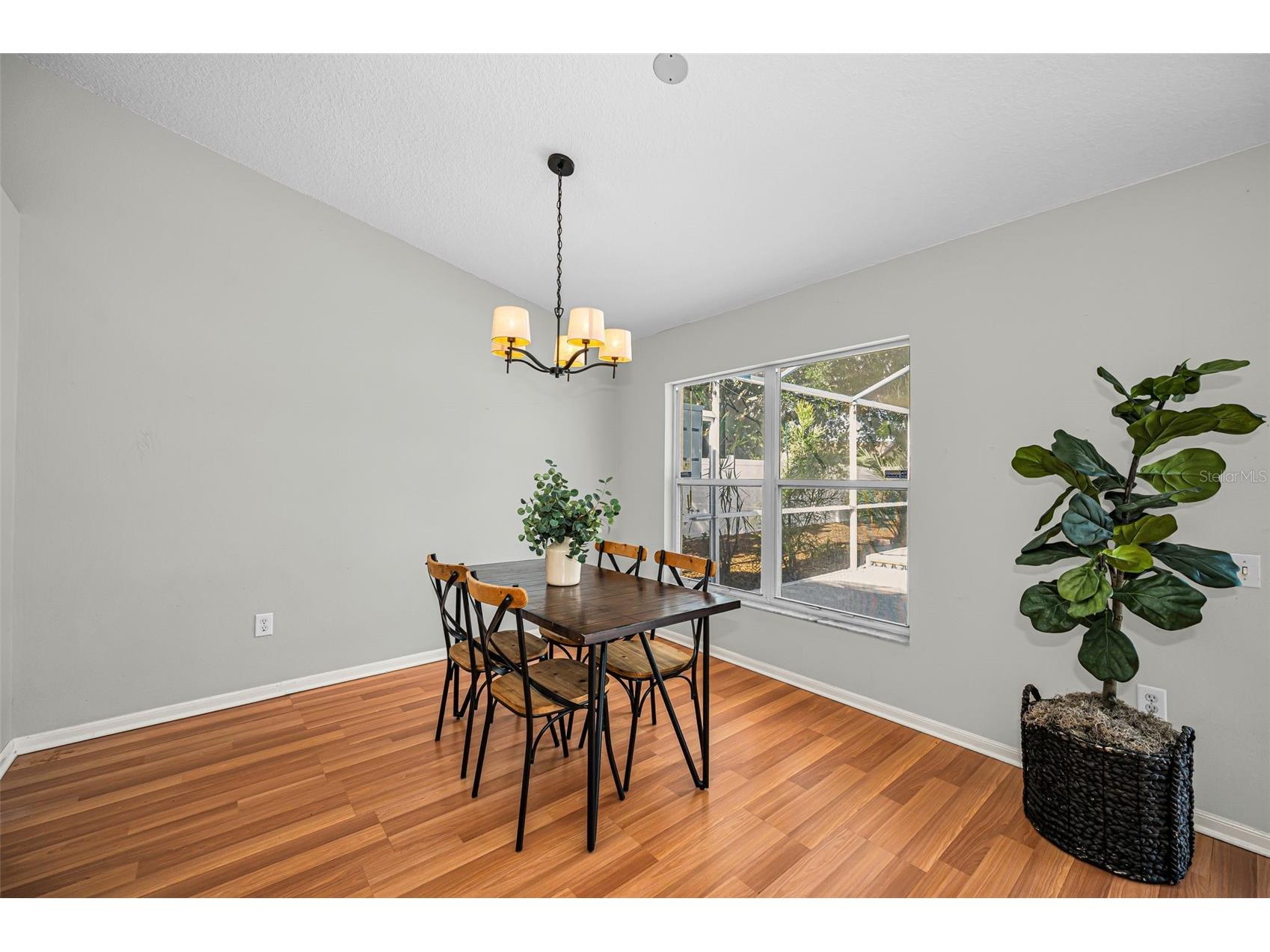 1721 Hunter Lane Tarpon Springs FL 34689 TB8512615 image19