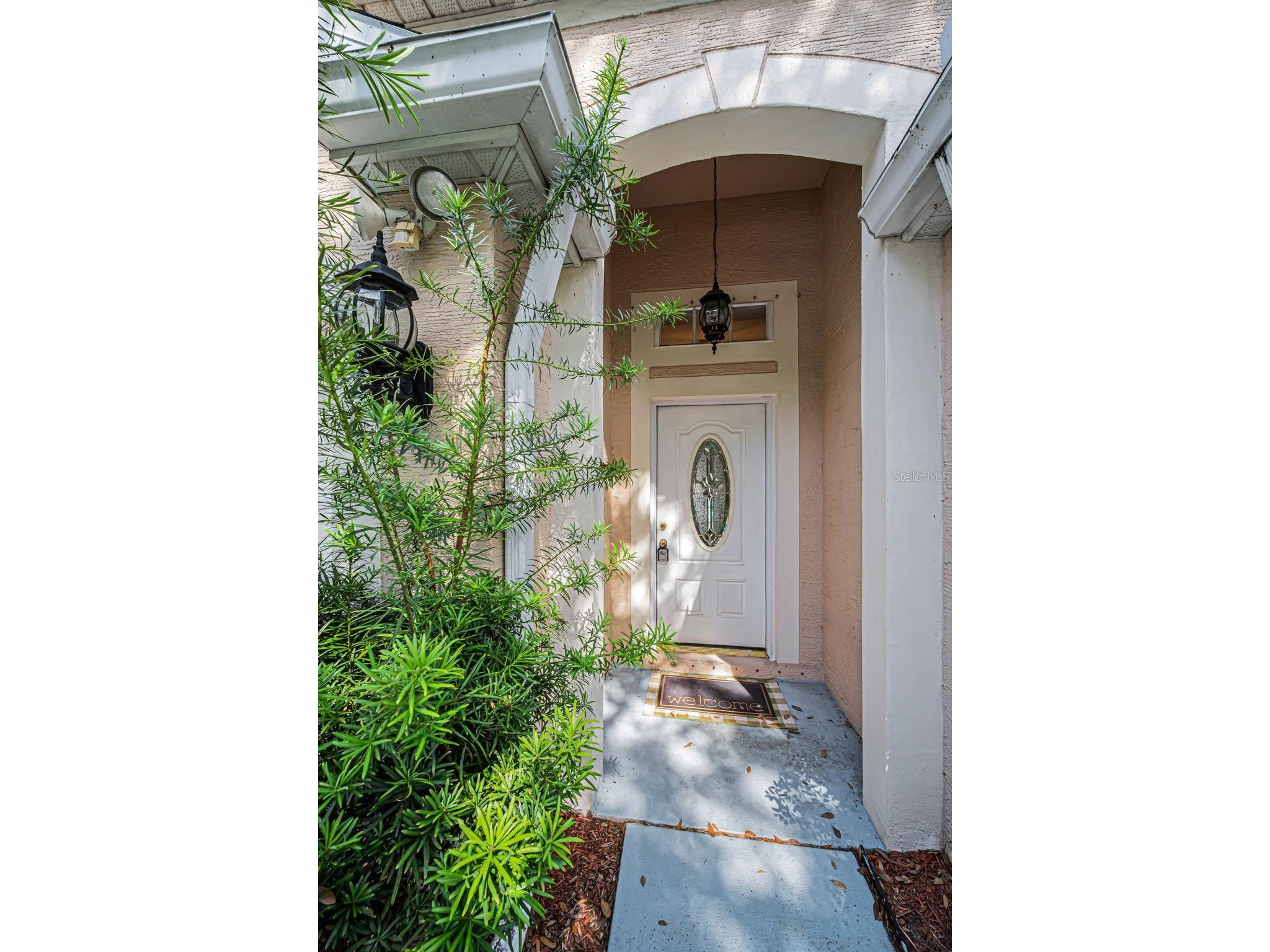1721 Hunter Lane Tarpon Springs FL 34689 TB8512615 image2