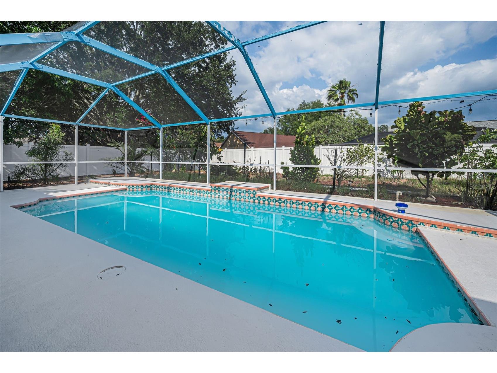 1721 Hunter Lane Tarpon Springs FL 34689 TB8512615 image39