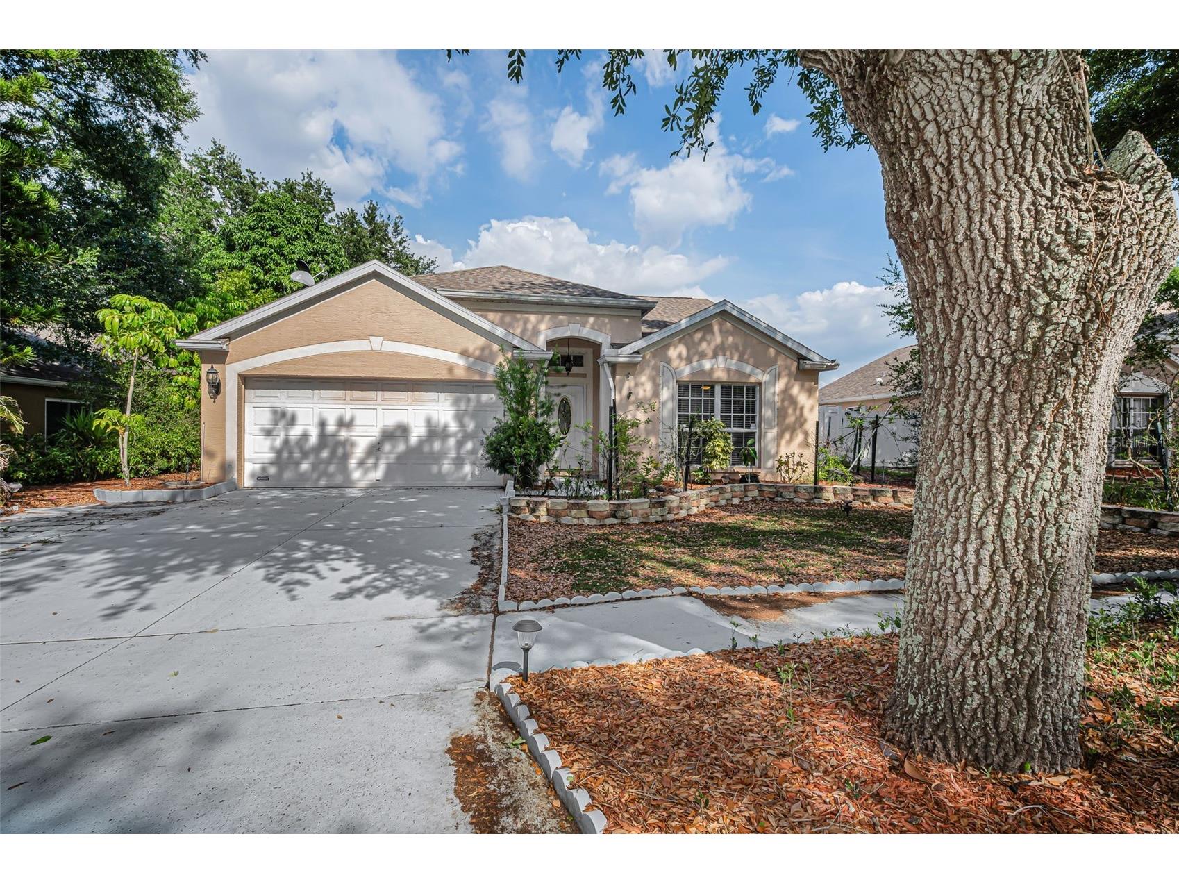 1721 Hunter Lane Tarpon Springs FL 34689 TB8512615 image4