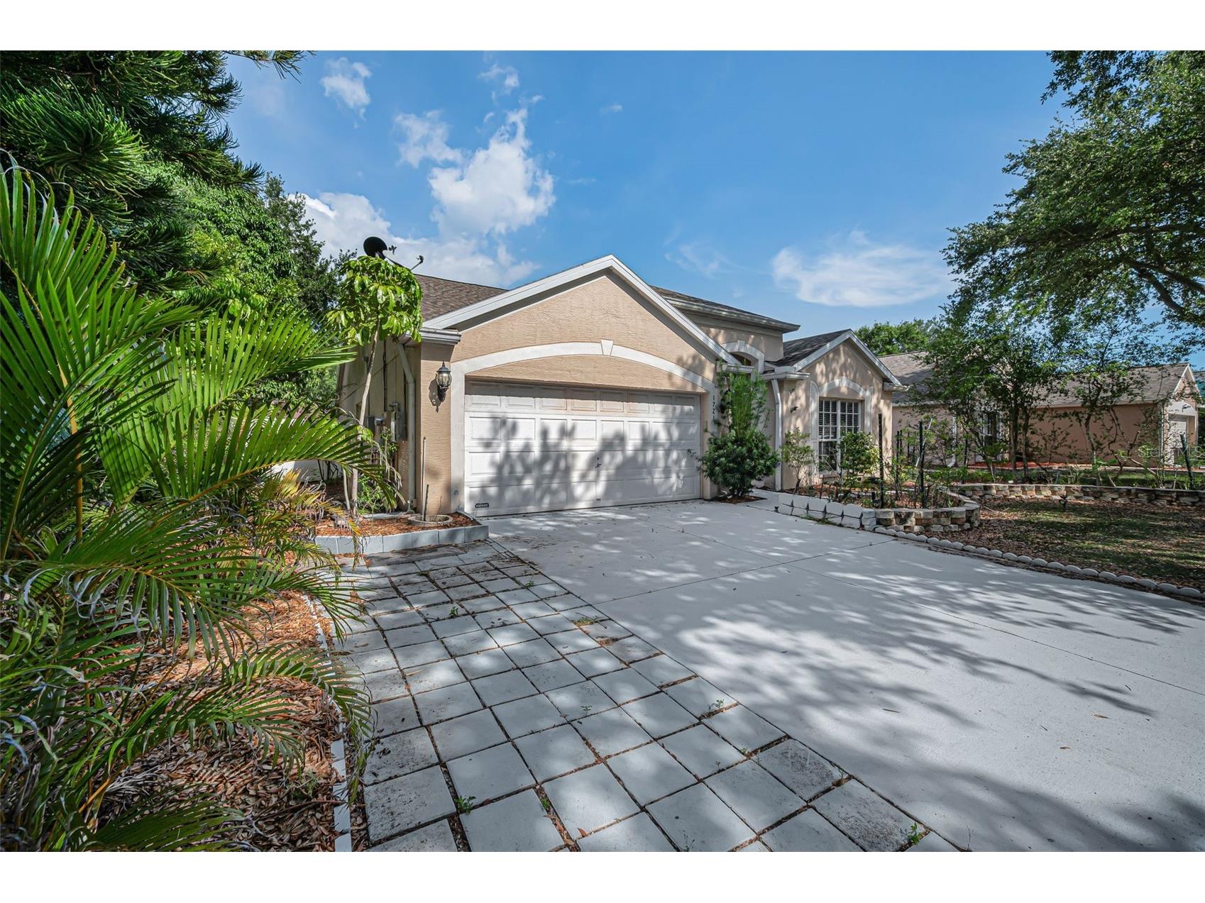 1721 Hunter Lane Tarpon Springs FL 34689 TB8512615 image6