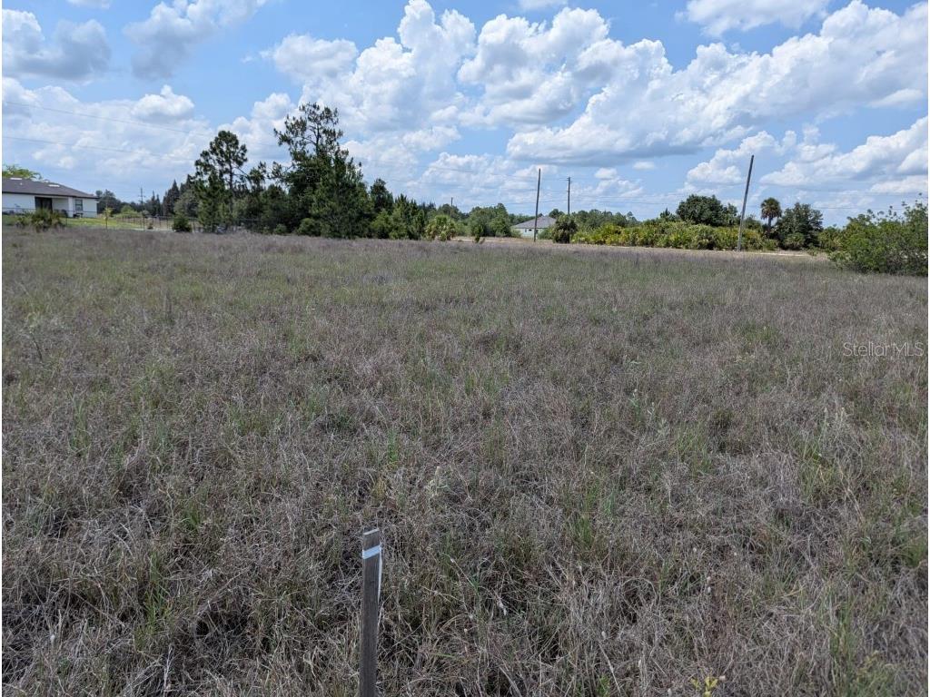 1721 Wells Avenue Lehigh Acres FL 33972 TB8460384 image4