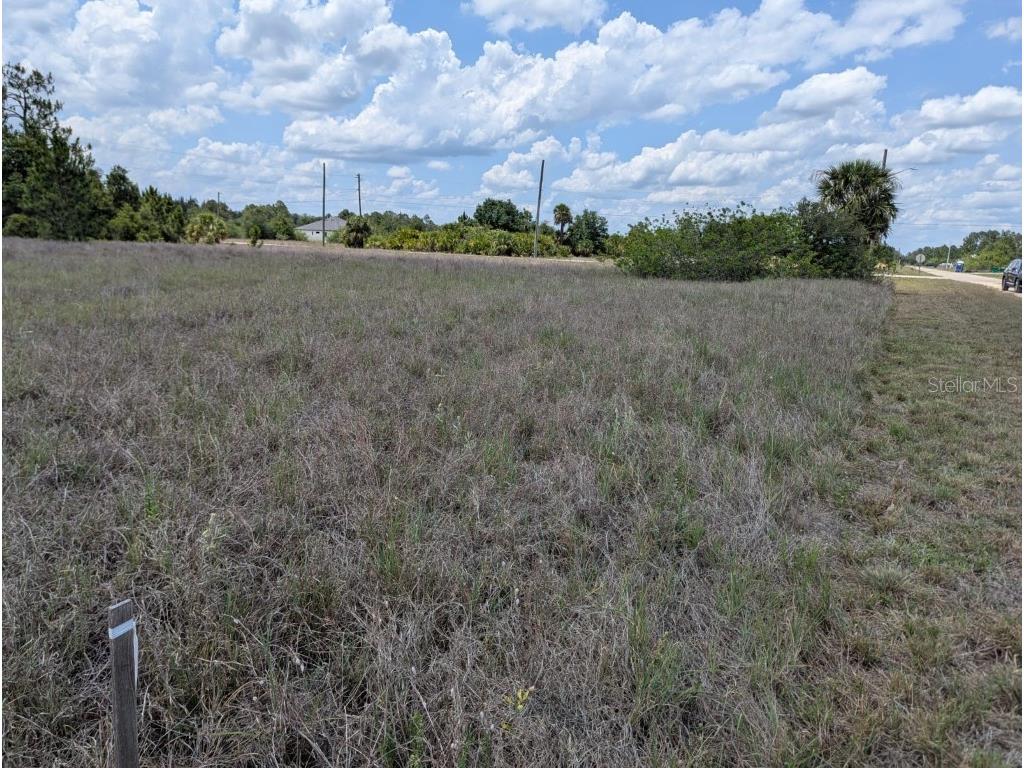 1721 Wells Avenue Lehigh Acres FL 33972 TB8460384 image5