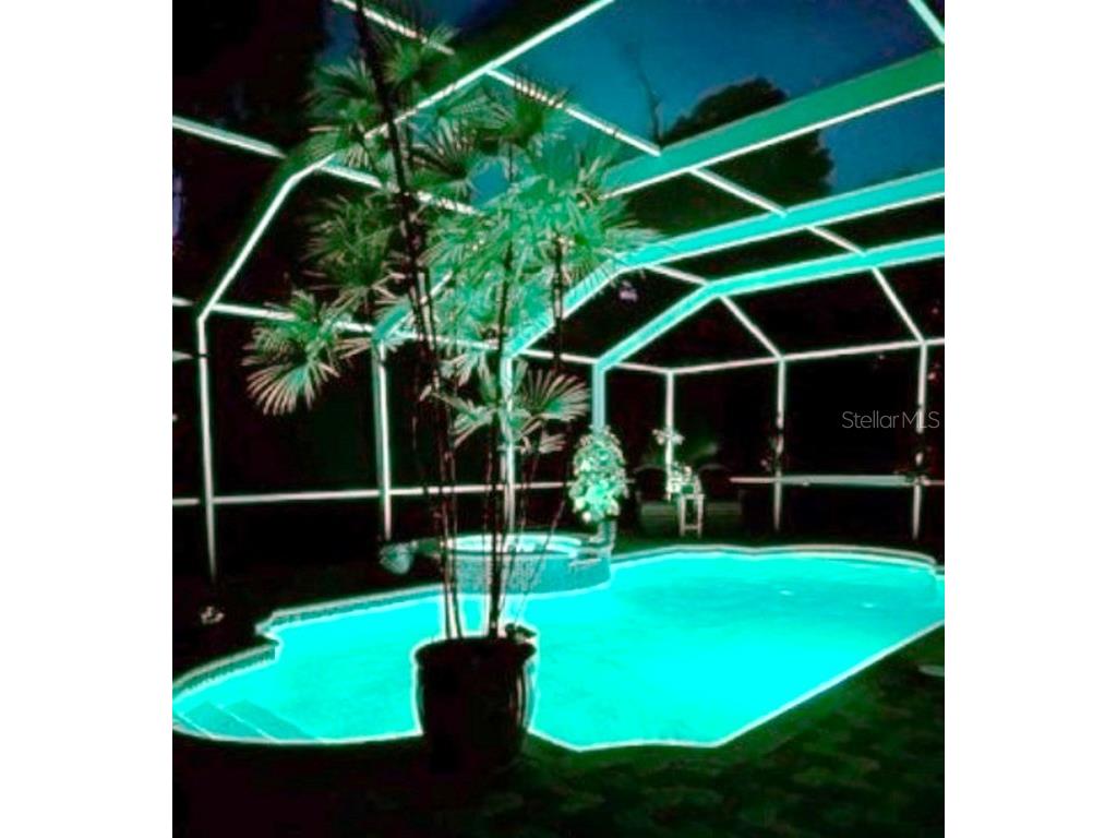 1721 Woodmarker Court Brandon FL 33510 TB8451189 image34