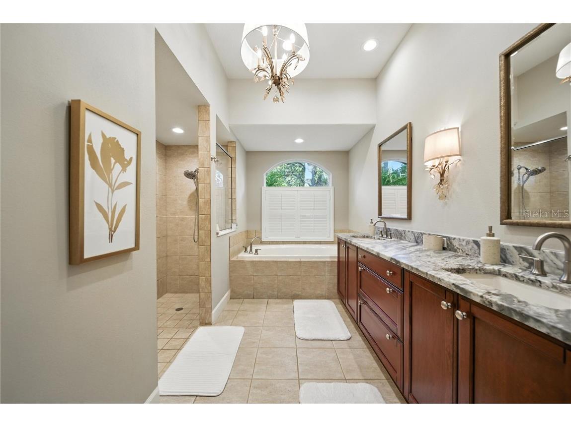 17210 Broadoak Drive Tampa FL 33647 TB8416017 image19