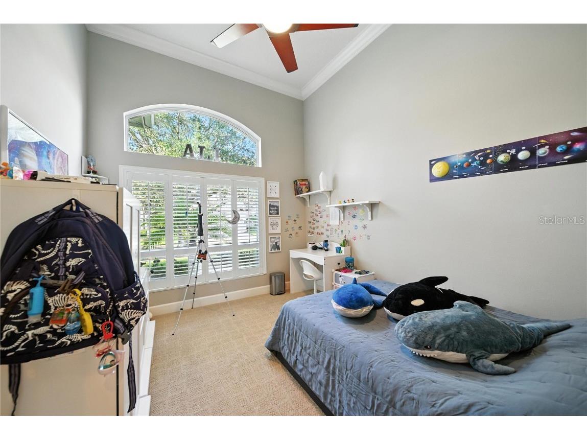 17210 Broadoak Drive Tampa FL 33647 TB8416017 image20