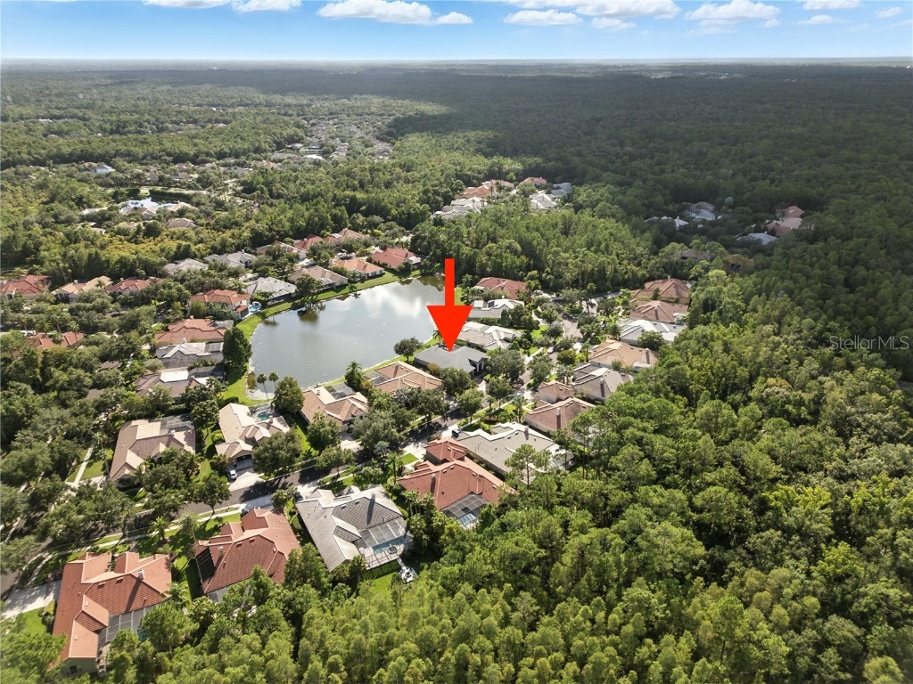 17210 Broadoak Drive Tampa FL 33647 TB8416017 image42