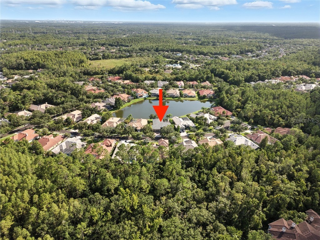 17210 Broadoak Drive Tampa FL 33647 TB8416017 image43