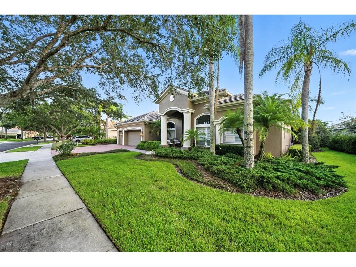 17210 Broadoak Drive Tampa FL 33647 TB8416017 image44