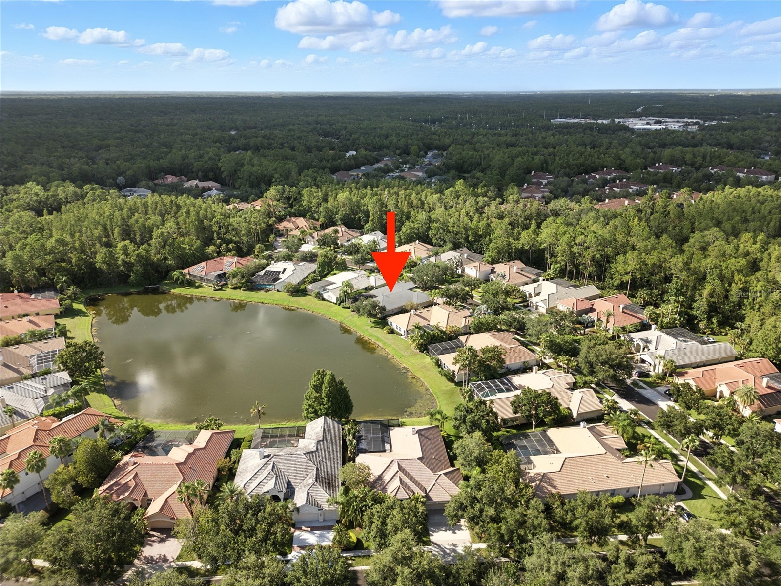 17210 Broadoak Drive Tampa FL 33647 TB8513440 image2