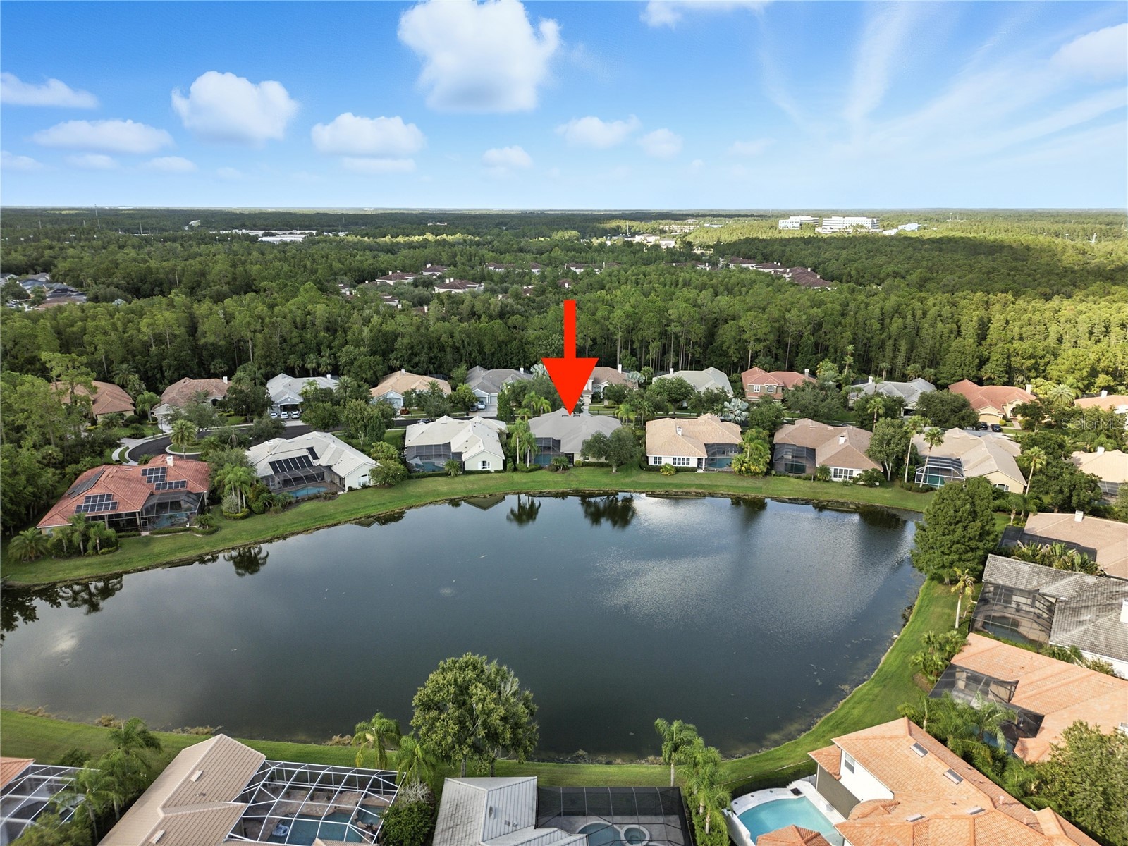 17210 Broadoak Drive Tampa FL 33647 TB8513440 image58