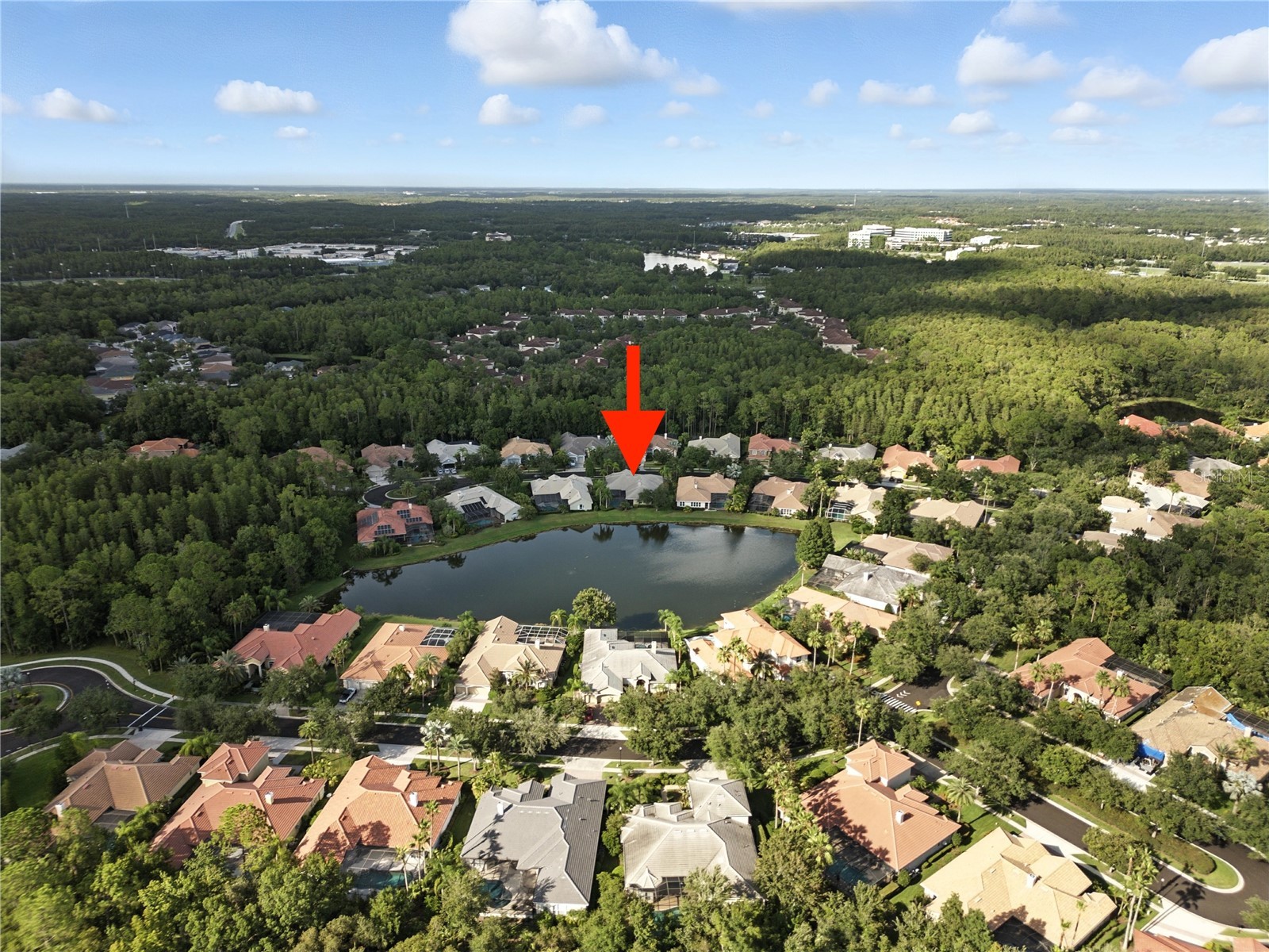 17210 Broadoak Drive Tampa FL 33647 TB8513440 image59
