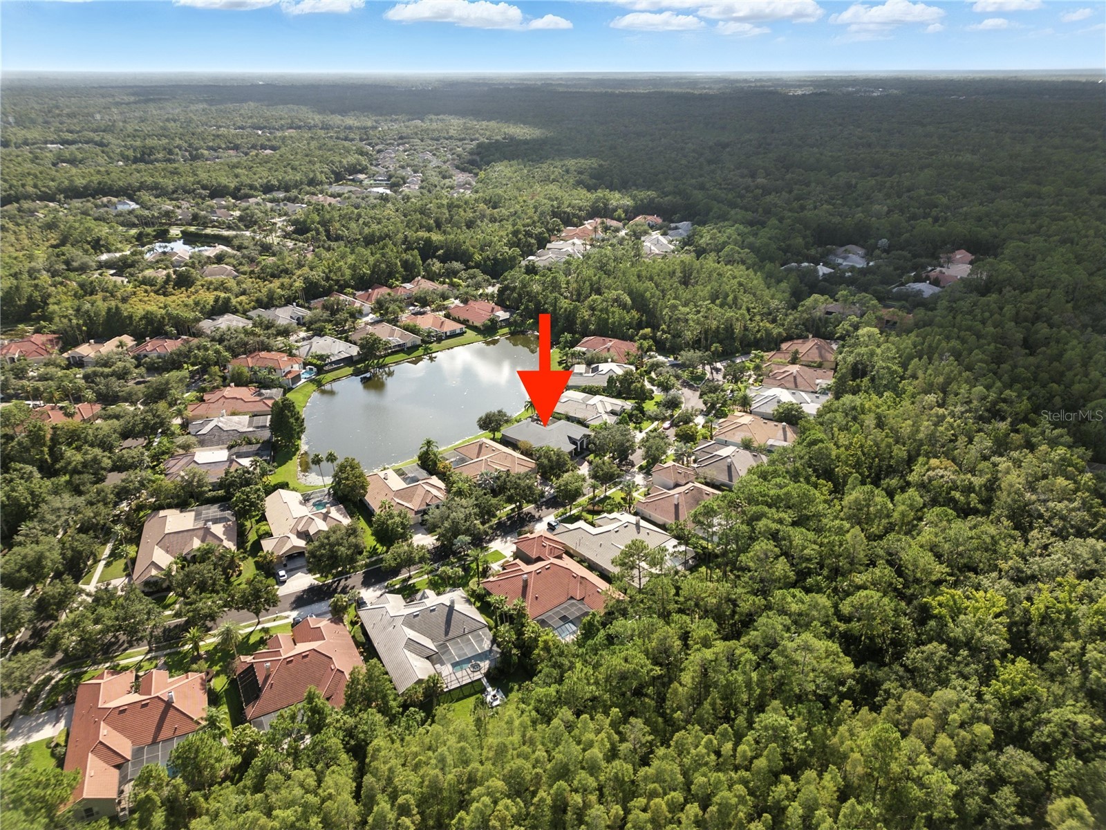 17210 Broadoak Drive Tampa FL 33647 TB8513440 image60