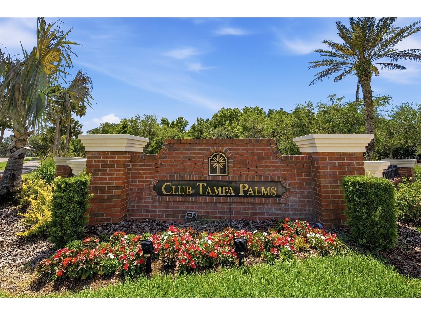 17210 Broadoak Drive Tampa FL 33647 TB8513440 image62
