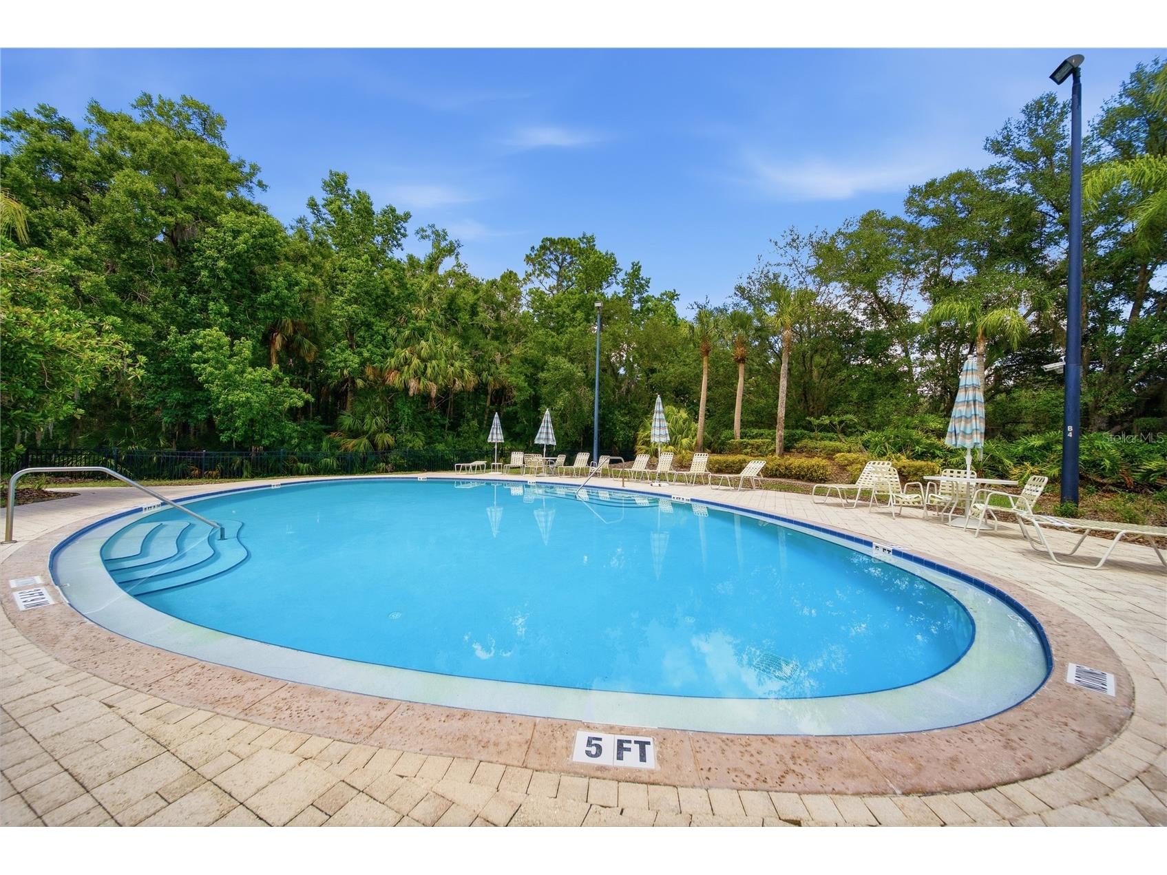 17210 Broadoak Drive Tampa FL 33647 TB8513440 image71