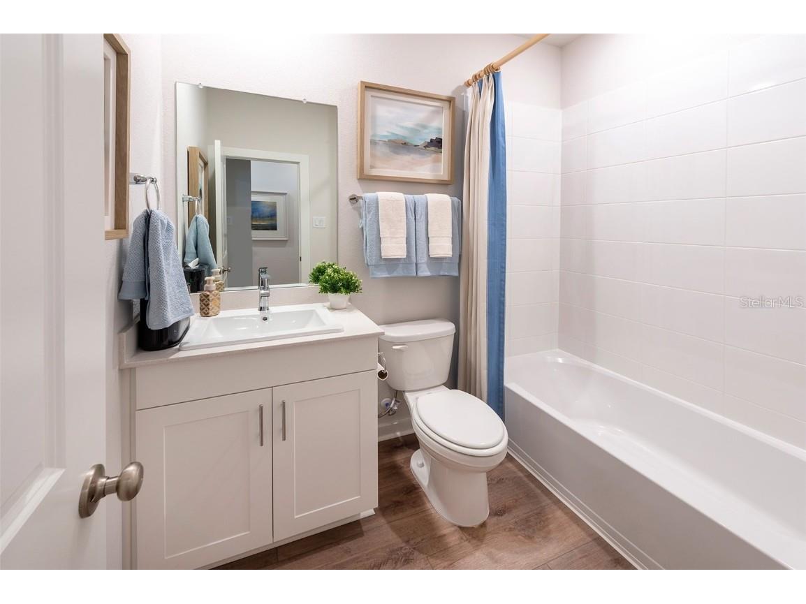 17212 Auburn Arch Loop #ESTERO Wimauma FL 33598 O6330113 image10