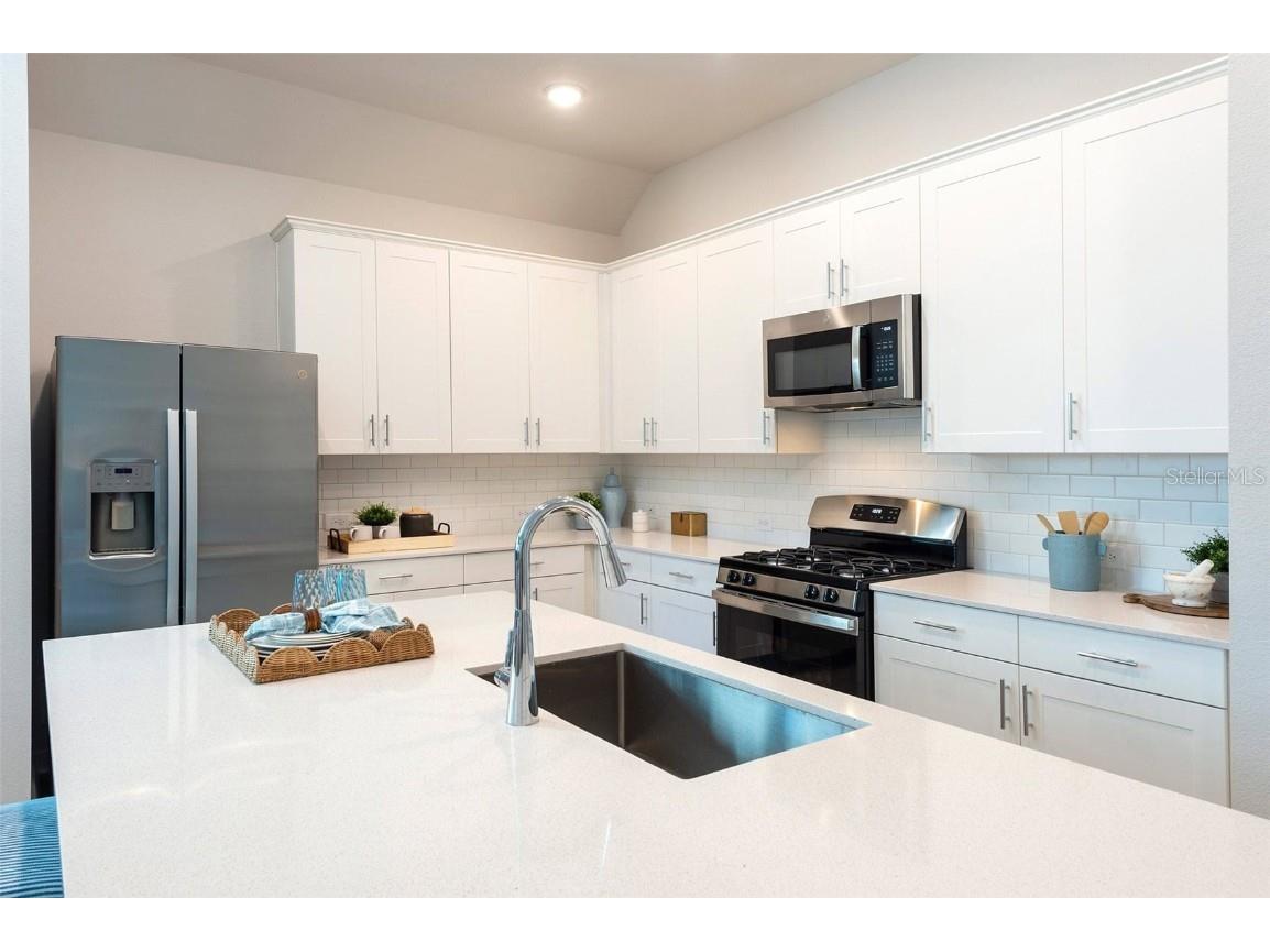 17212 Auburn Arch Loop #SAN CARLOS Wimauma FL 33598 O6330118 image6