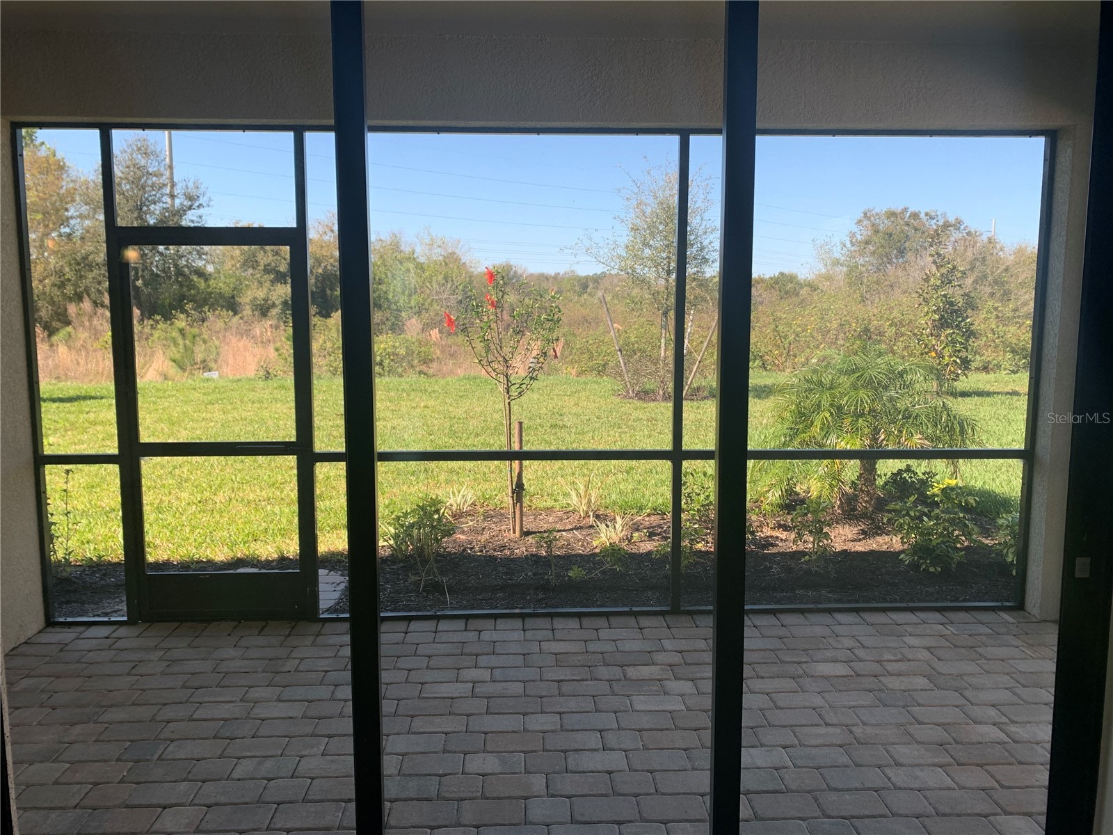 17212 Blue Ridge Place Bradenton FL 34211 A4699098 image11