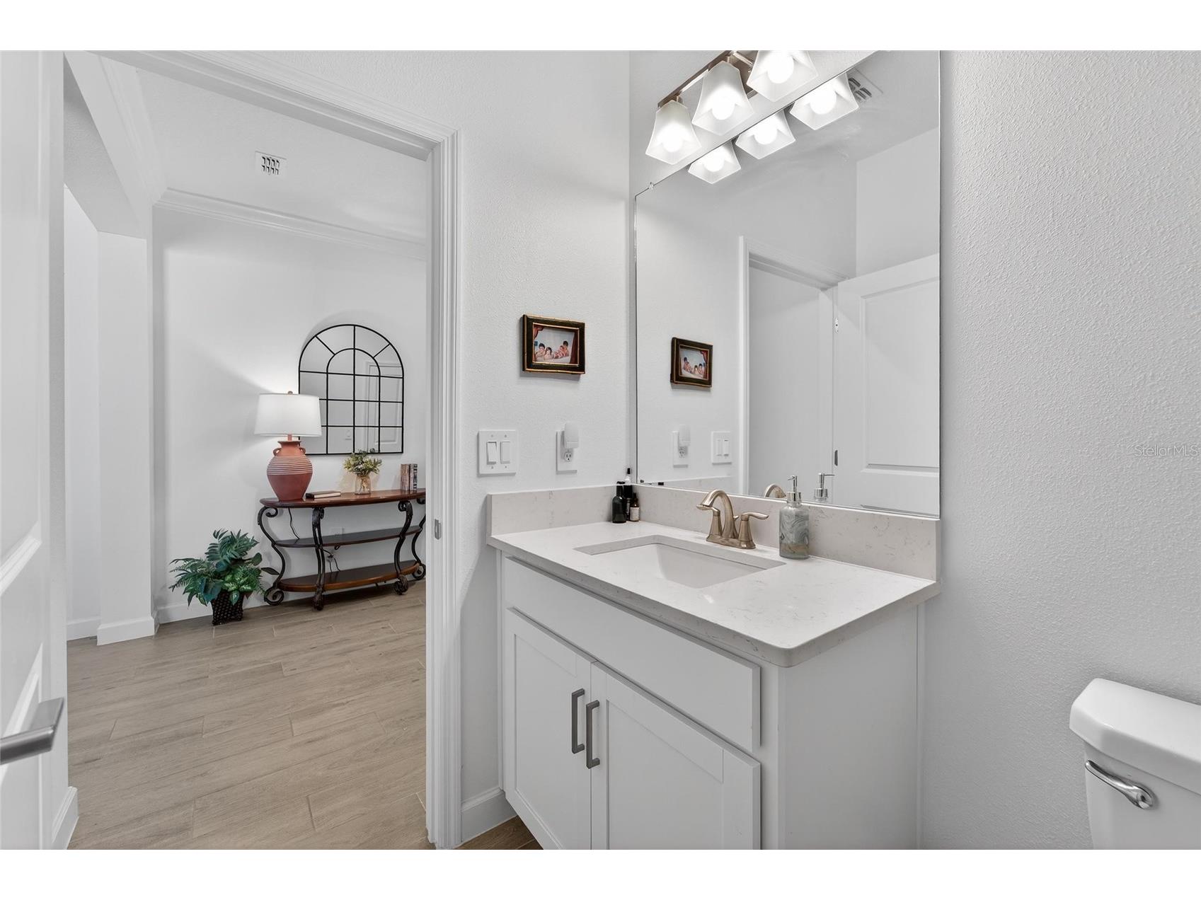 17212 Holly Well Avenue Wimauma FL 33598 TB8487337 image28
