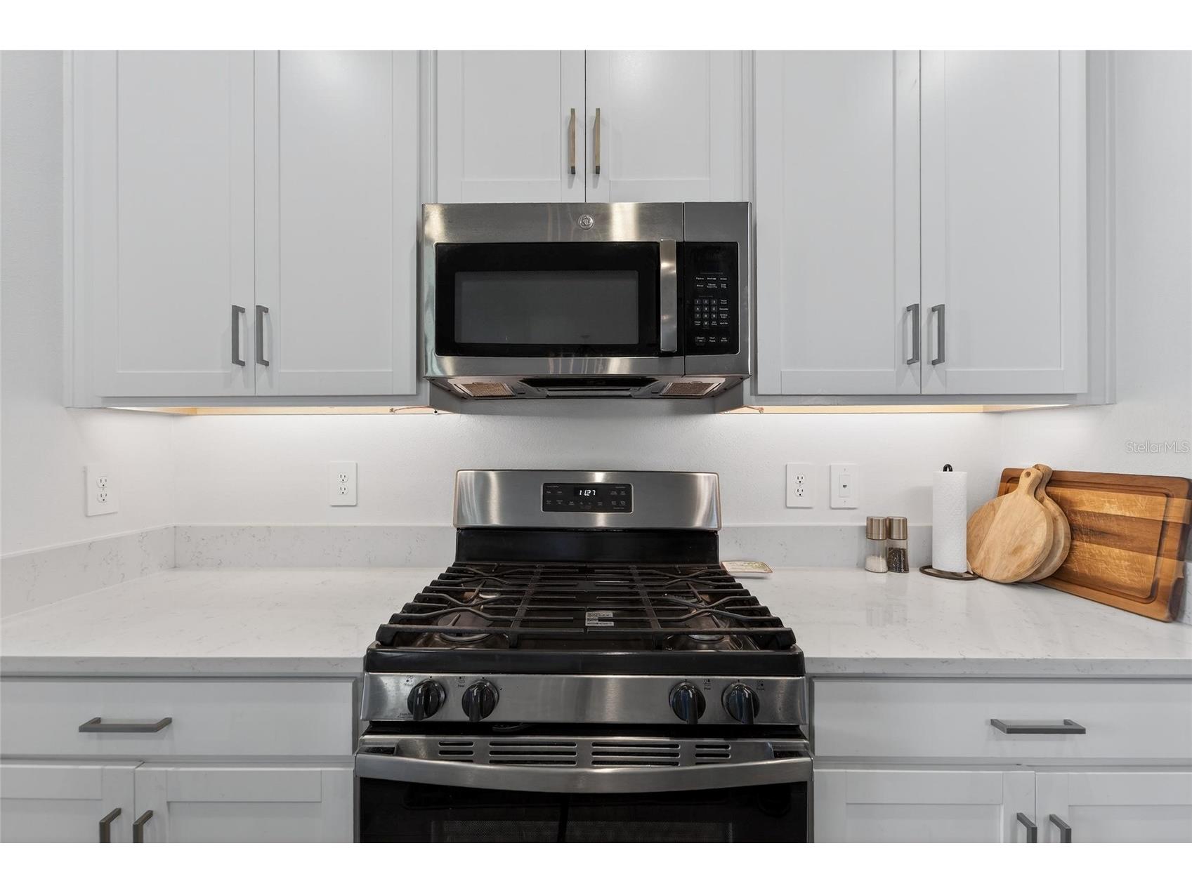 17212 Holly Well Avenue Wimauma FL 33598 TB8487337 image43