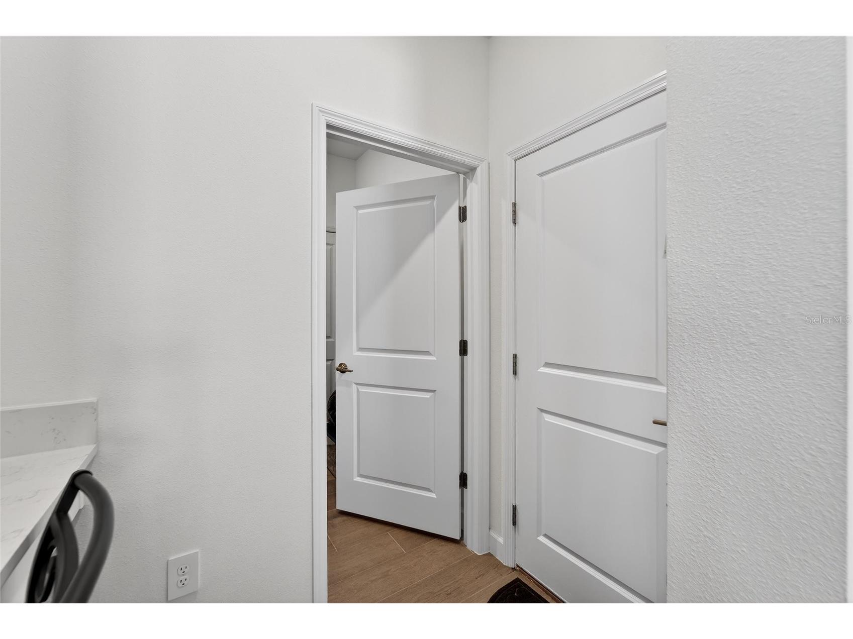 17212 Holly Well Avenue Wimauma FL 33598 TB8487337 image49