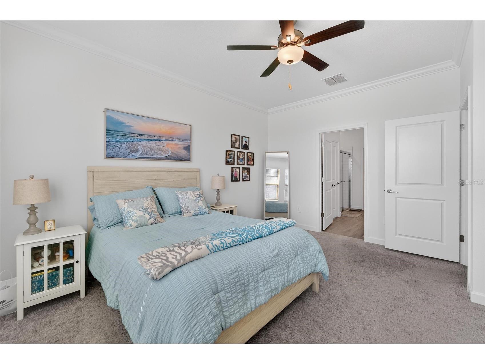 17212 Holly Well Avenue Wimauma FL 33598 TB8487337 image53