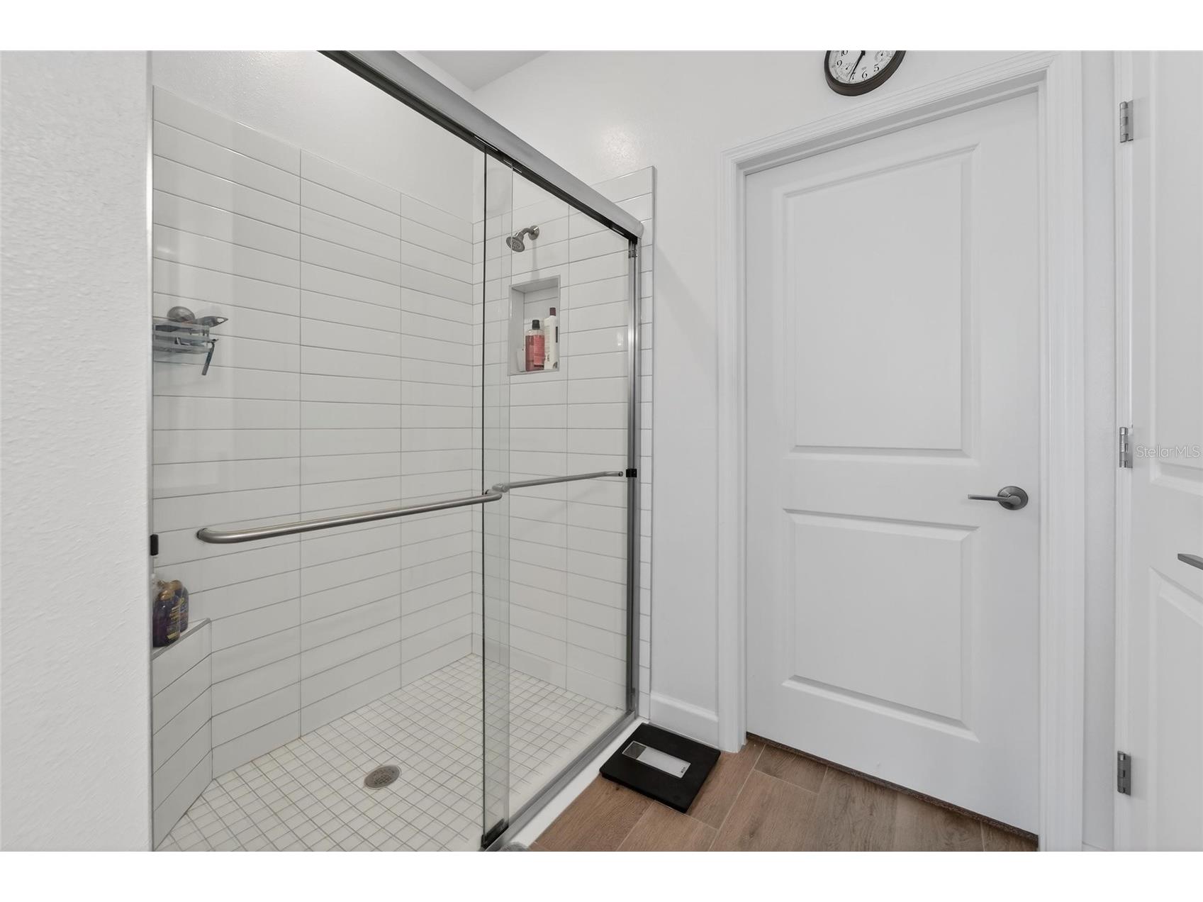 17212 Holly Well Avenue Wimauma FL 33598 TB8487337 image59