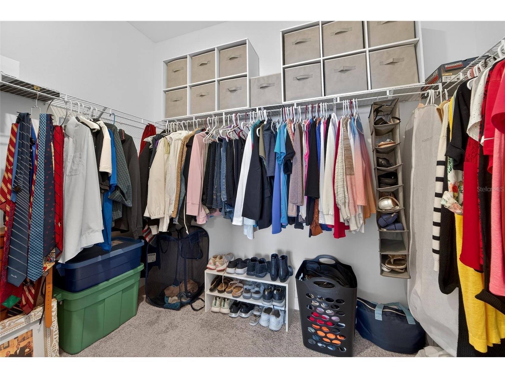 17212 Holly Well Avenue Wimauma FL 33598 TB8487337 image60