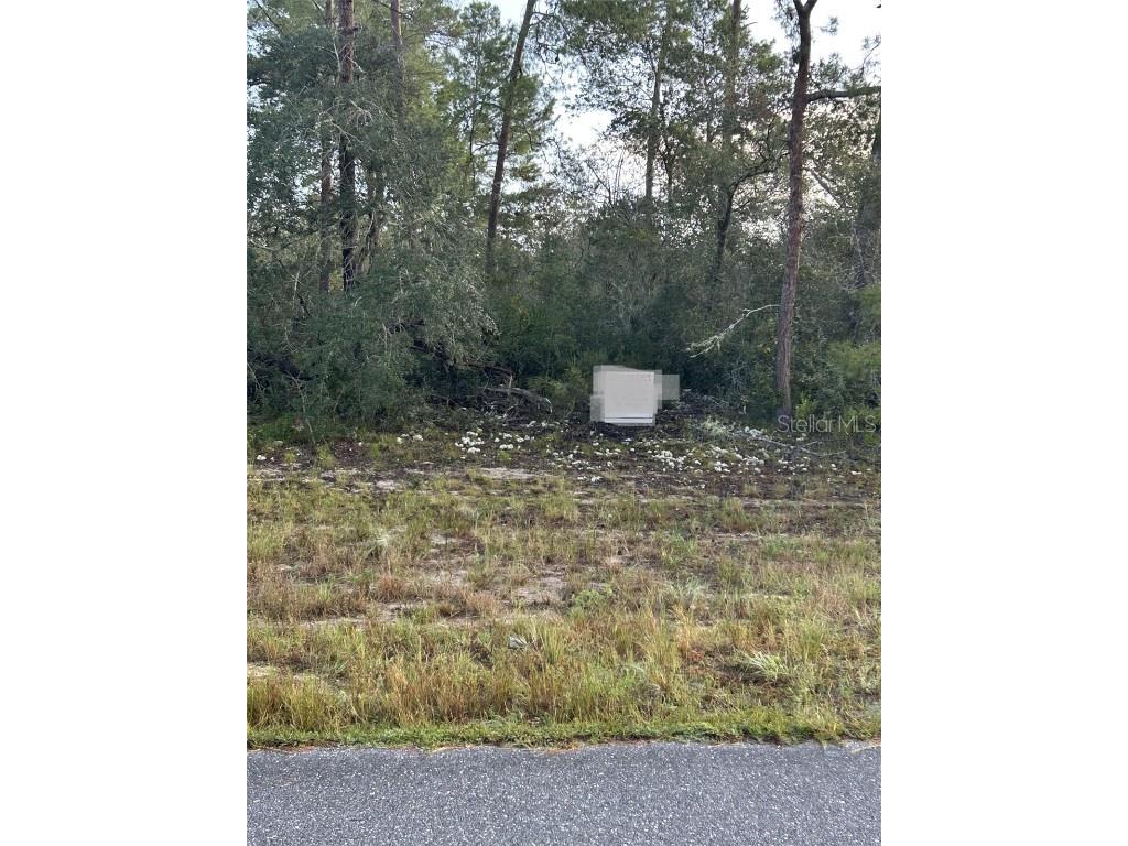 17213 SW 28th Avenue Ocala FL 34473 TB8440973 image1