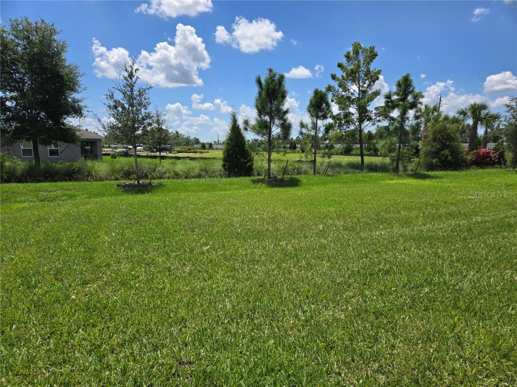 17213 Wheatberry Boulevard Parrish FL 34219 A4662985 image5