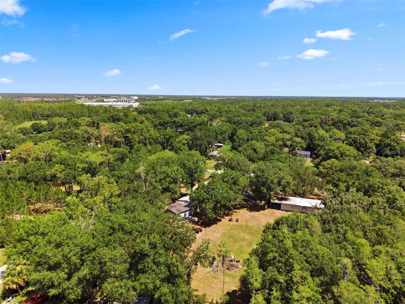 17214 Chinaberry Road Lutz FL 33558 TB8516675 image10