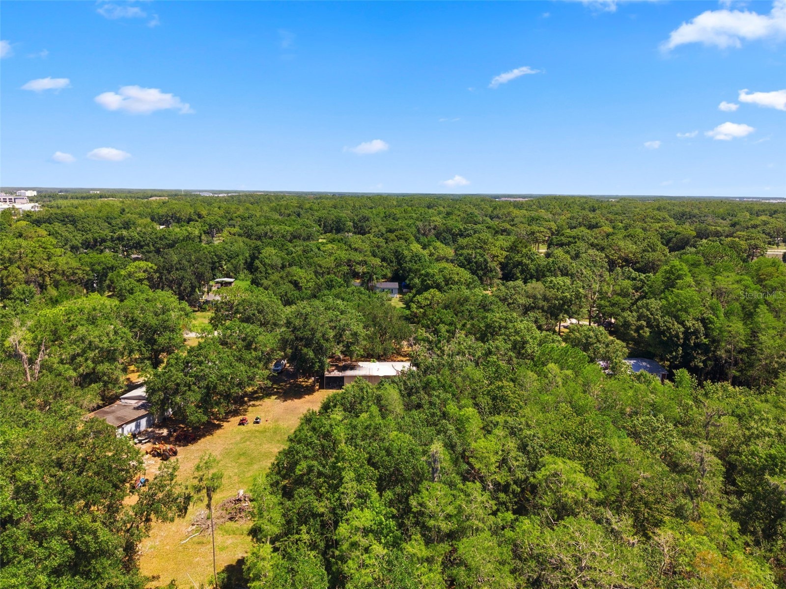 17214 Chinaberry Road Lutz FL 33558 TB8516675 image11