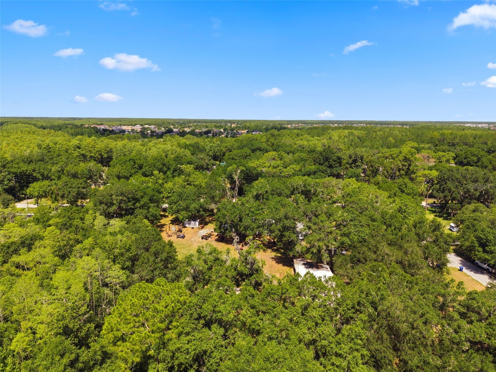 17214 Chinaberry Road Lutz FL 33558 TB8516675 image12