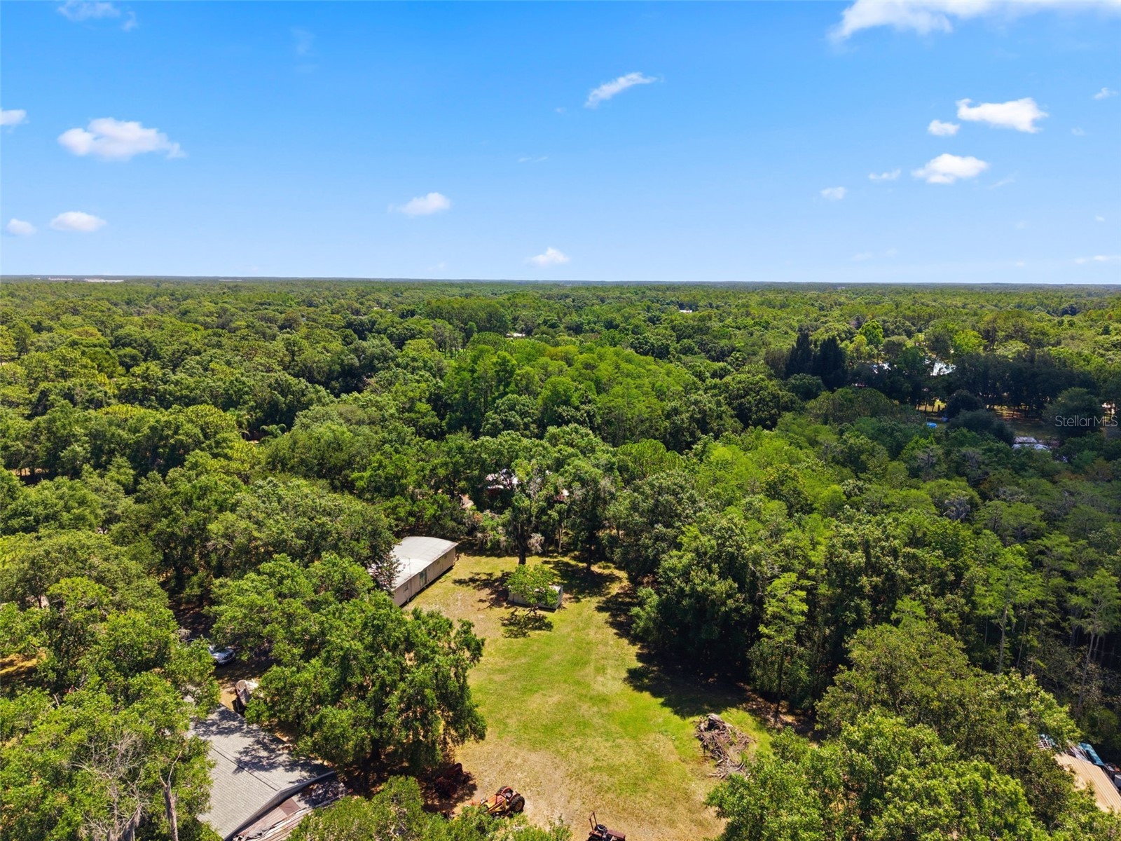 17214 Chinaberry Road Lutz FL 33558 TB8516675 image13
