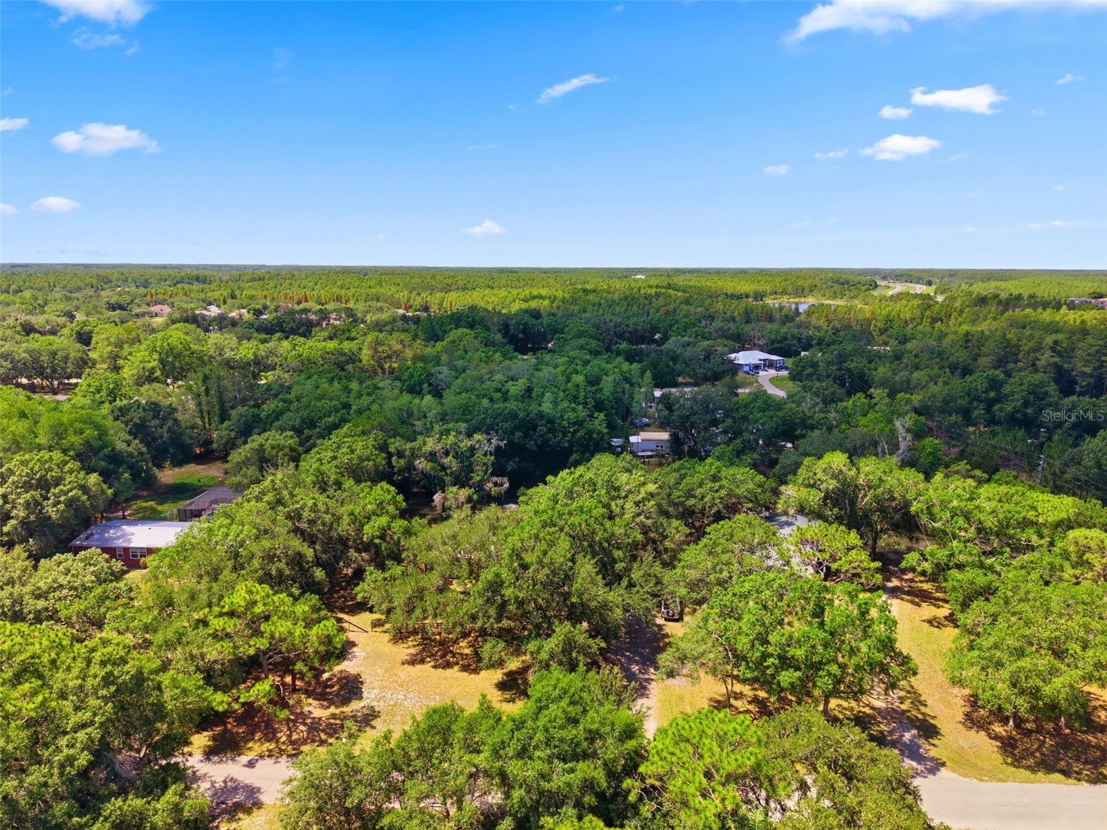 17214 Chinaberry Road Lutz FL 33558 TB8516675 image14