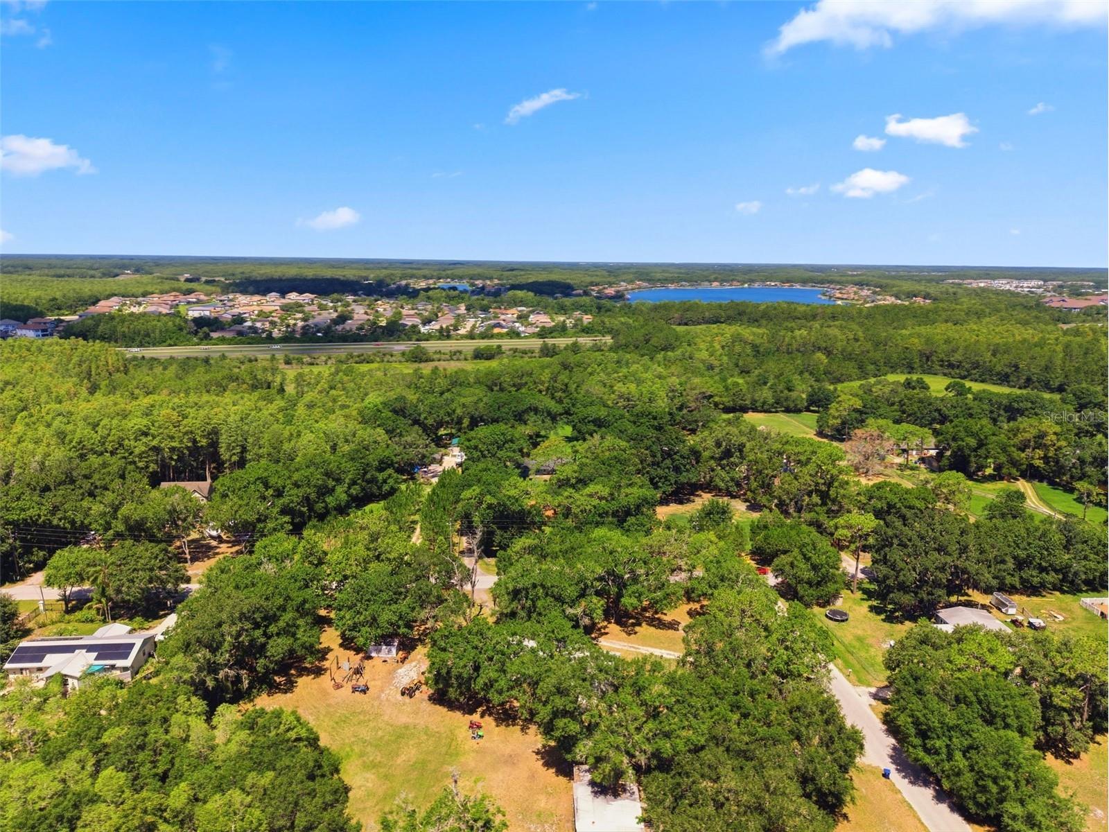 17214 Chinaberry Road Lutz FL 33558 TB8516675 image16