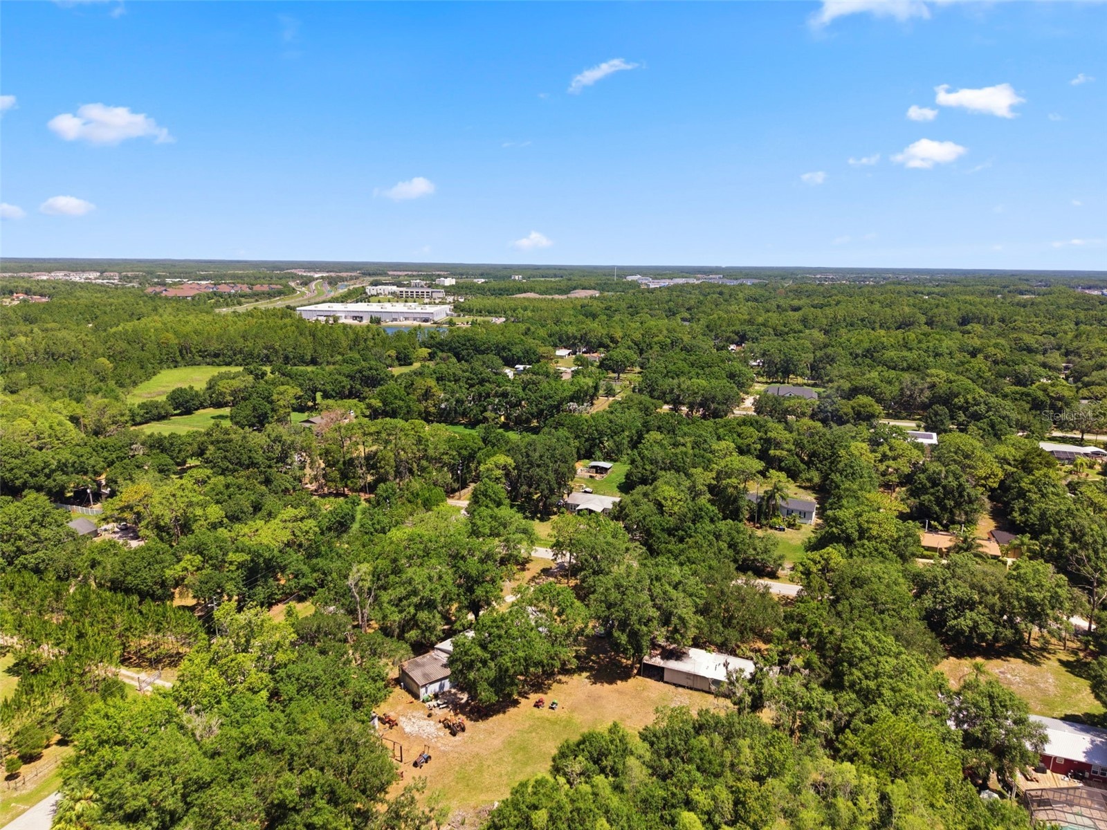 17214 Chinaberry Road Lutz FL 33558 TB8516675 image17